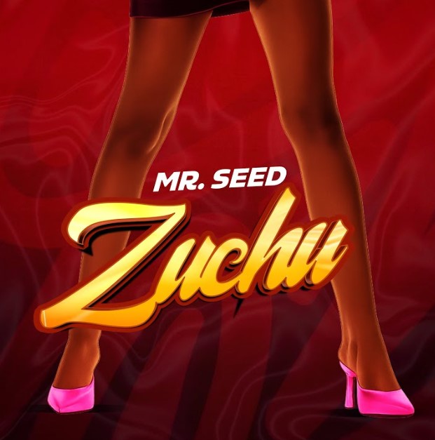 Music Audio : Mr Seed – Zuchu | Download